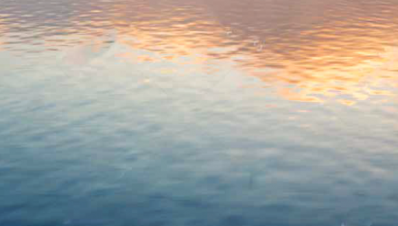 השקת הספר: "תיירות התאבדות - הבנת ההיבטים המשפטיים, הפילוסופיים והסוציו-פוליטיים" השקת הספר: "תיירות התאבדות - הבנת ההיבטים המשפטיים, הפילוסופיים והסוציו-פוליטיים"